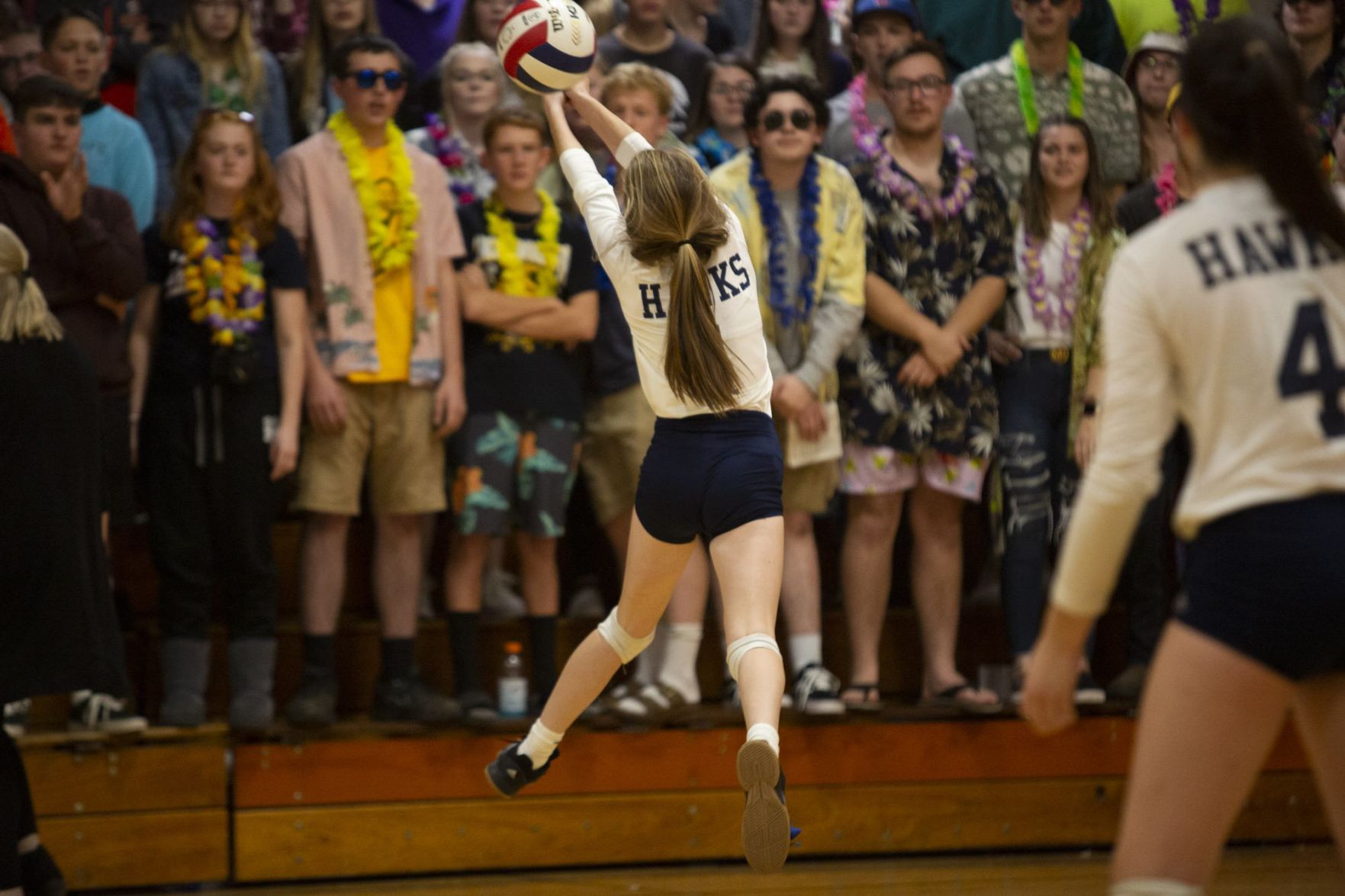 Class 1A Raymond Lincolnwood Sectional semifinal
